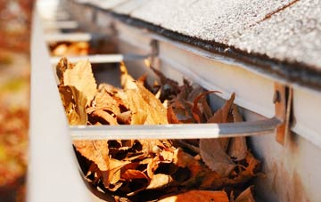 Halton Fenside gutter cleaning companies